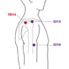 Articulation épaule/bras