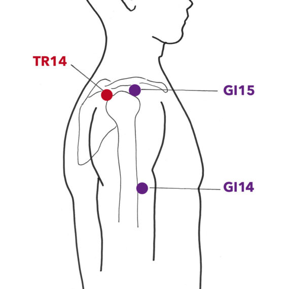 Articulation épaule/bras