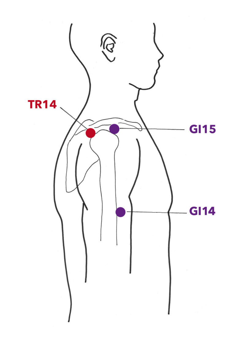 Articulation épaule/bras