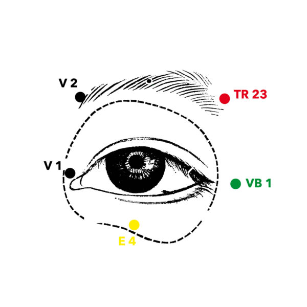 oeil méridiens