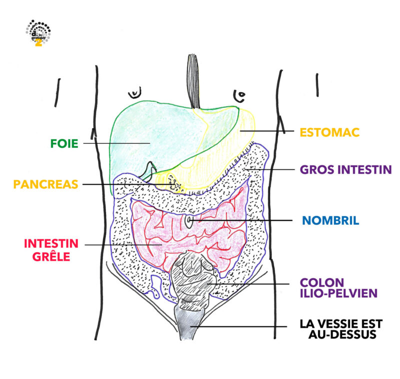 Anma de l’abdomen