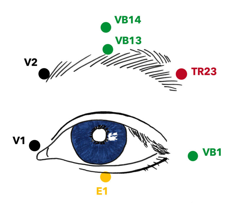 Circulations d'énergie spécifiques