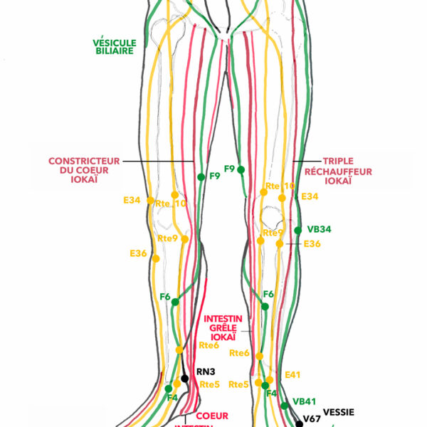 C13-BAS-DE-JAMBE-CC-TR