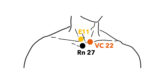 Articulation clavicule et cou