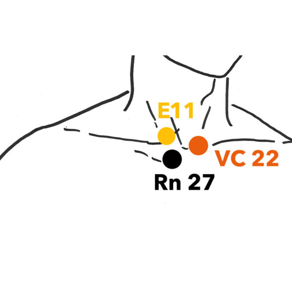 C2-21-E-11-12-13-Rn27-VC22-21-mai